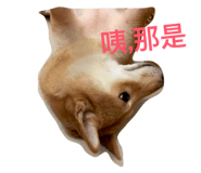 26827507