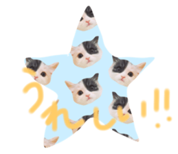 26827930