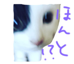 26827932