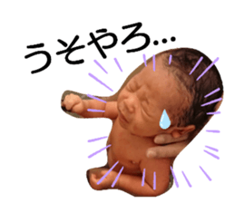268300354
