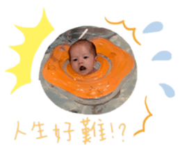 268393406