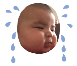 268402562