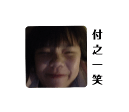 268405623