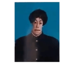268408295