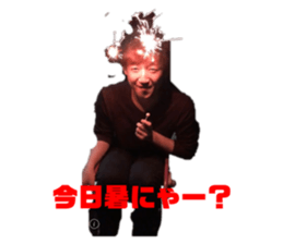 268408531