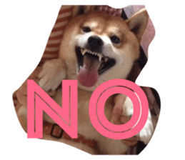 26856727