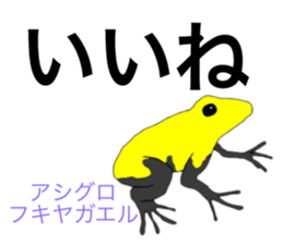 26856967