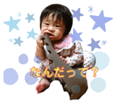 268710536