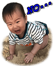268828846
