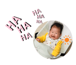 268961588