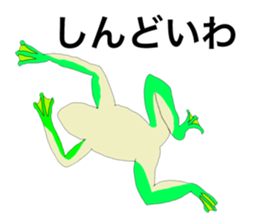 26901878