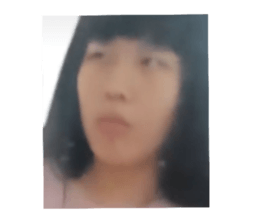 269042535