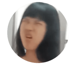 269042536