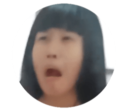 269042544