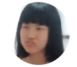 269042548