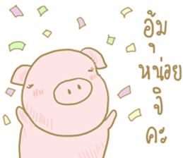 26905392
