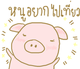 26905400