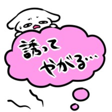 2690700