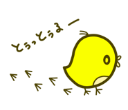 269218581