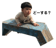 269307136