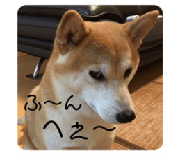 269335024