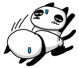 2693904