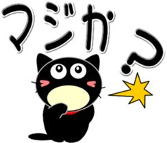 269430568