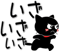 269430603