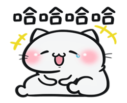 269440505