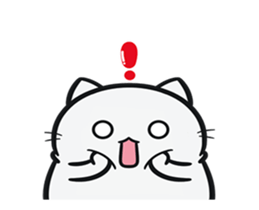 269440511