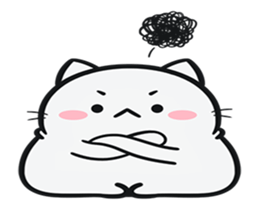 269440520