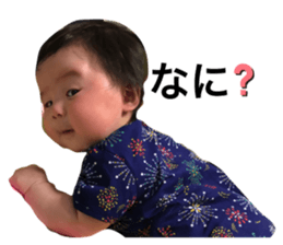 269440699