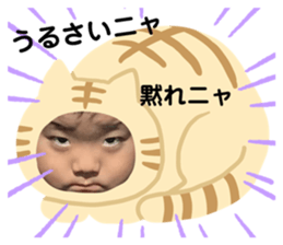 269457377