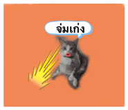 269503471