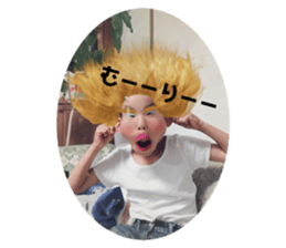269512081