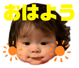269515543