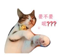 269723413