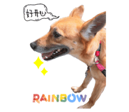 269784107