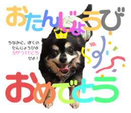 269924206