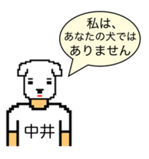 269954856