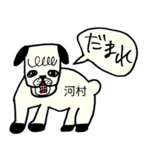 269955013