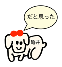 269955083