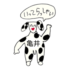 269955087