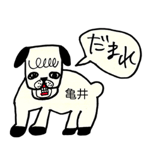 269955093