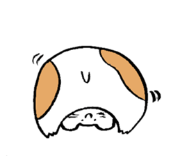 2699970