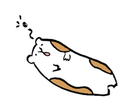 2699972