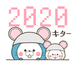 270016337