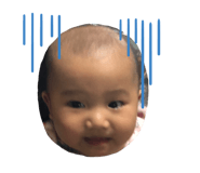 270082681