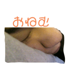 270154806