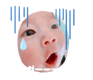270165731